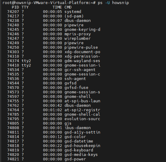 PS Commands Howsnip