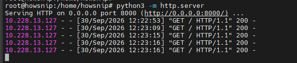 Python HTTP Server