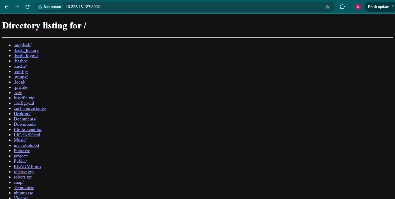 Python HTTP Server