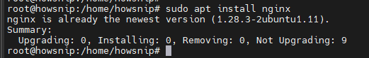 Python HTTP Server