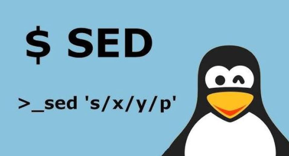 SED Command Howsnip