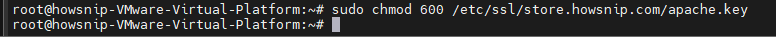 Self Signed SSL Howsnip