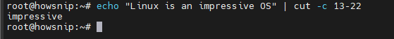 Substrings Linux Howsnip