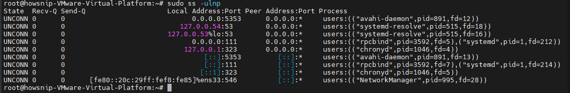 Test TCP and UDP Ports