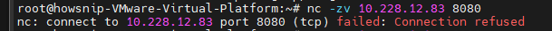 Test TCP and UDP Ports