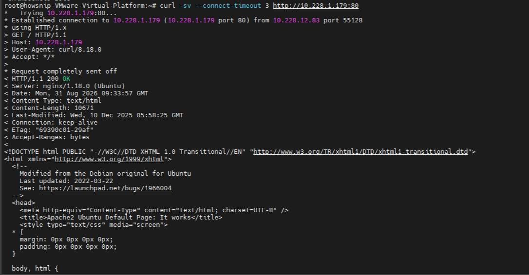 Test TCP and UDP Ports