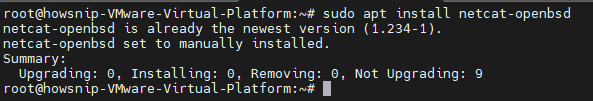 Test TCP and UDP Ports