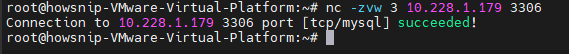 Test TCP and UDP Ports