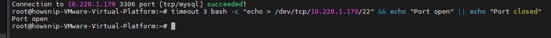 Test TCP and UDP Ports