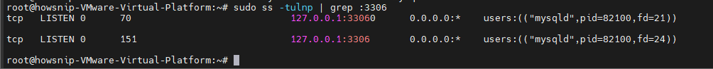 Test TCP and UDP Ports