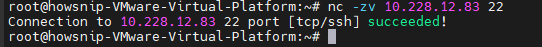 Test TCP and UDP Ports