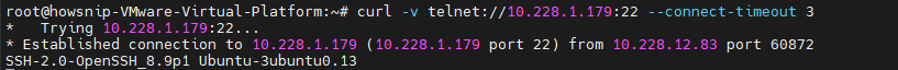 Test TCP and UDP Ports