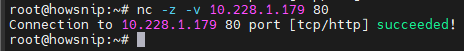 Testing Connectivity Commands Howsnip