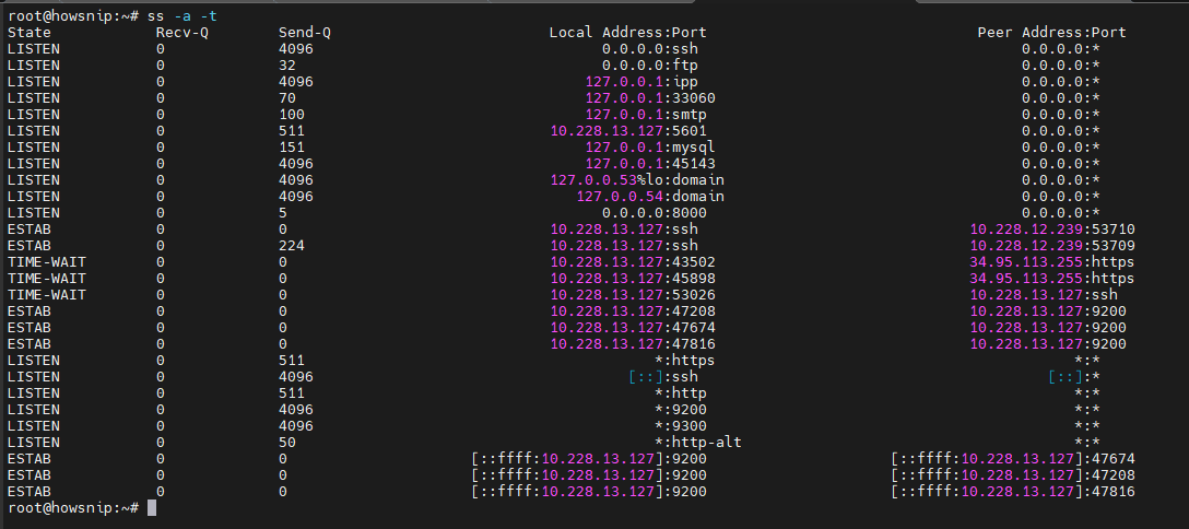 Testing Connectivity Commands Howsnip