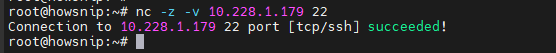 Testing Connectivity Commands Howsnip