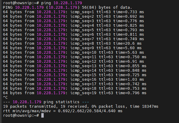 Testing Connectivity Commands Howsnip