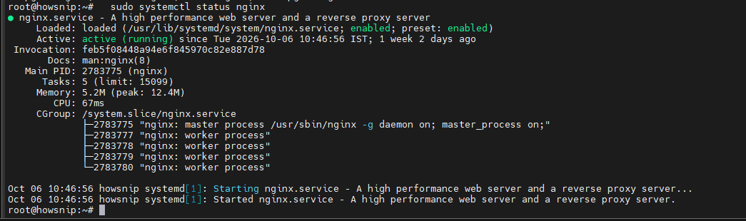 Ubuntu Server Nginx Howsnip