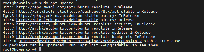 Ubuntu Server Nginx Howsnip
