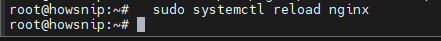 Ubuntu Server Nginx Howsnip