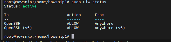 Ubuntu Setup Howsnip