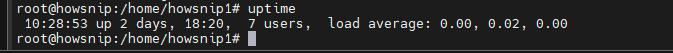 Ubuntu Setup Howsnip