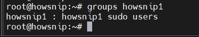 Ubuntu Setup Howsnip