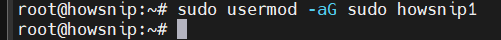 Ubuntu Setup Howsnip