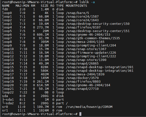 View List Disk Partitions Howsnip