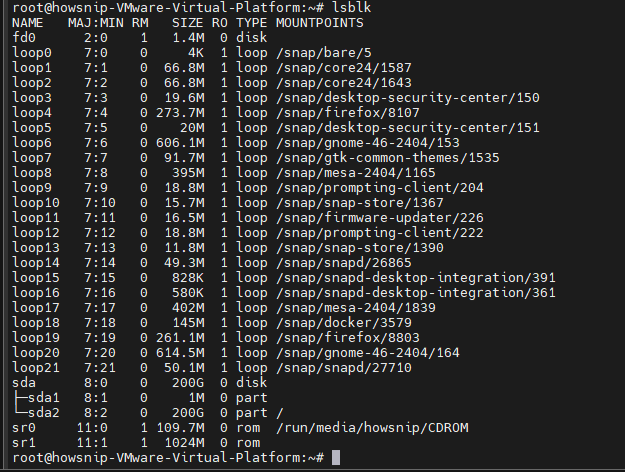 View List Disk Partitions Howsnip