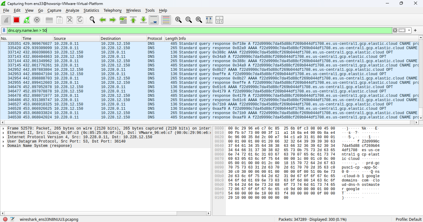 Wireshark Investigation Howsnip
