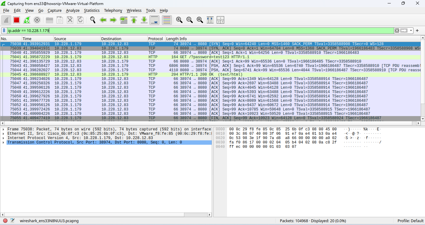 Wireshark Investigation Howsnip