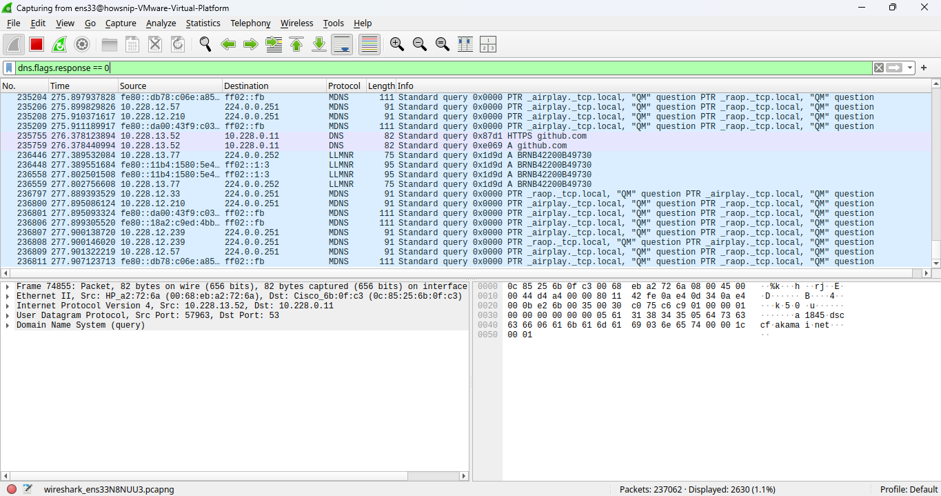 Wireshark Investigation Howsnip