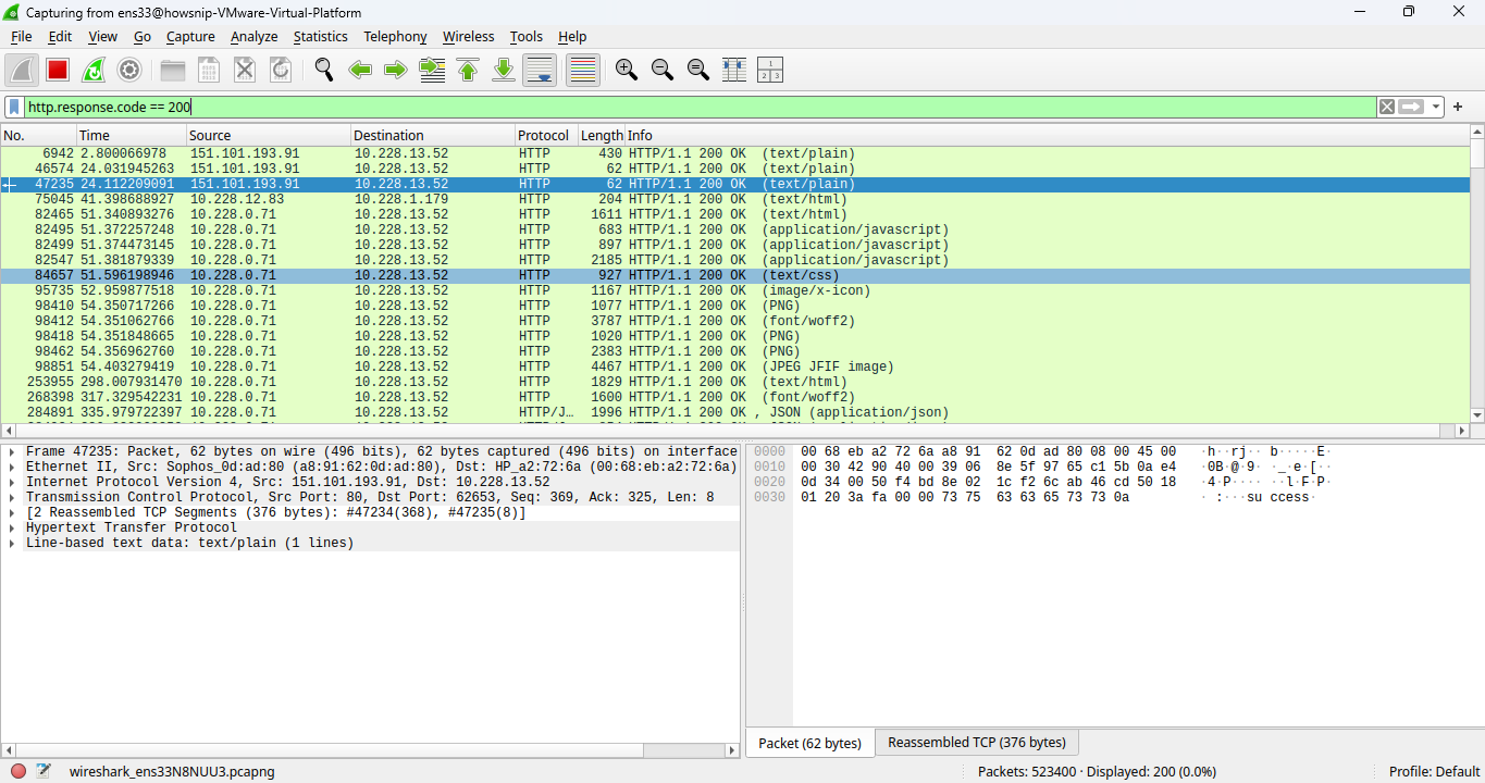 Wireshark Investigation Howsnip