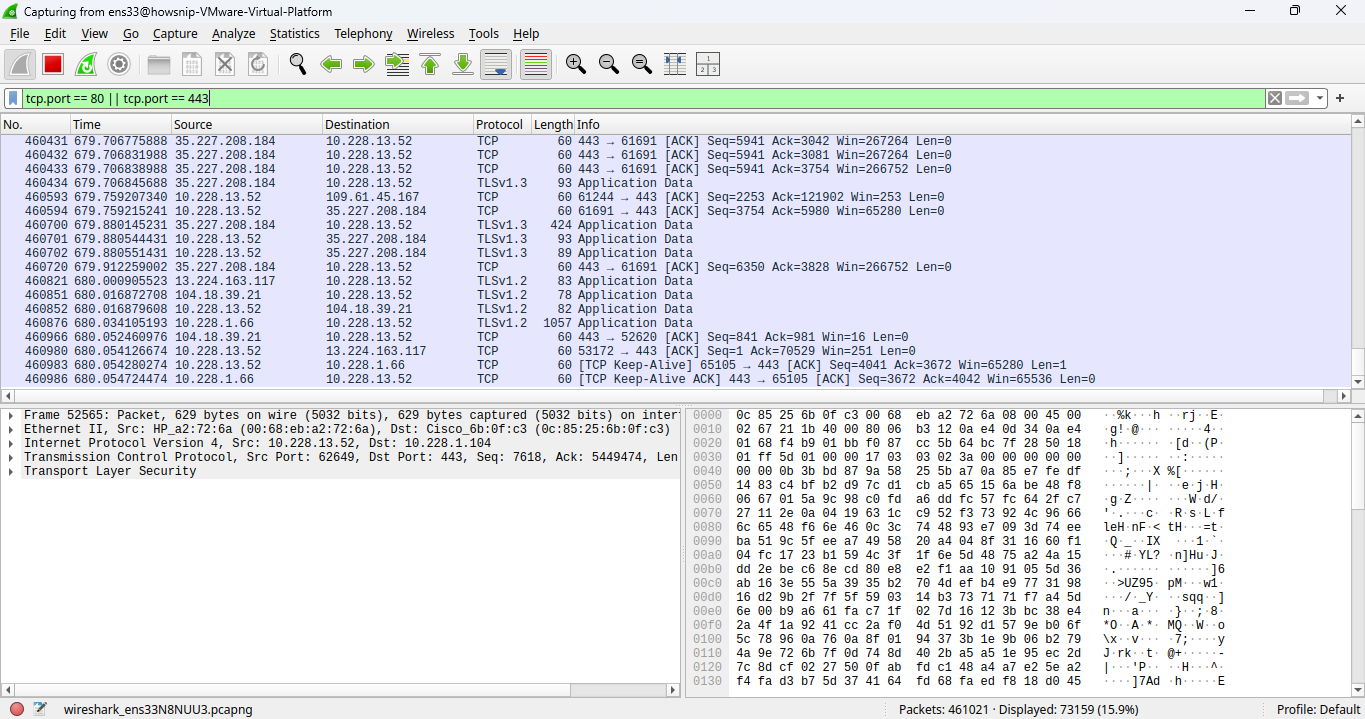 Wireshark Investigation Howsnip