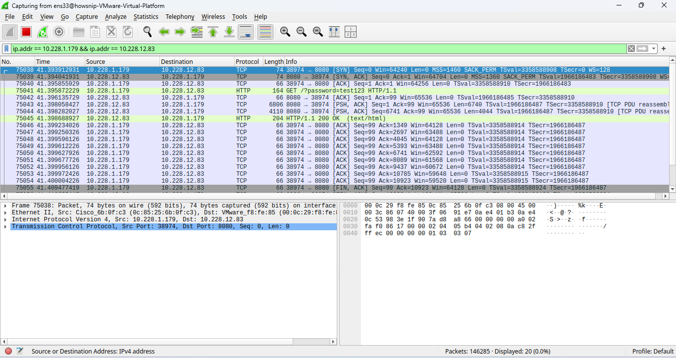 Wireshark Investigation Howsnip