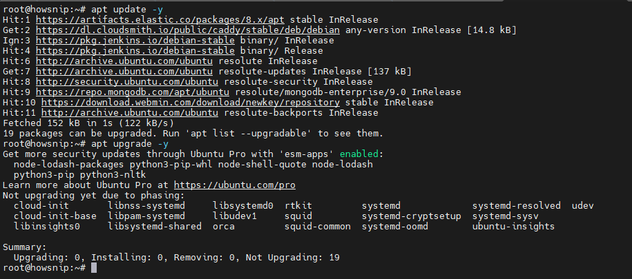 Wzuh Install Howsnip